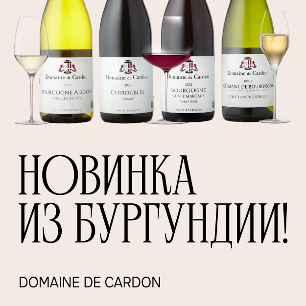 НОВИНКА ИЗ БУРГУНДИИ