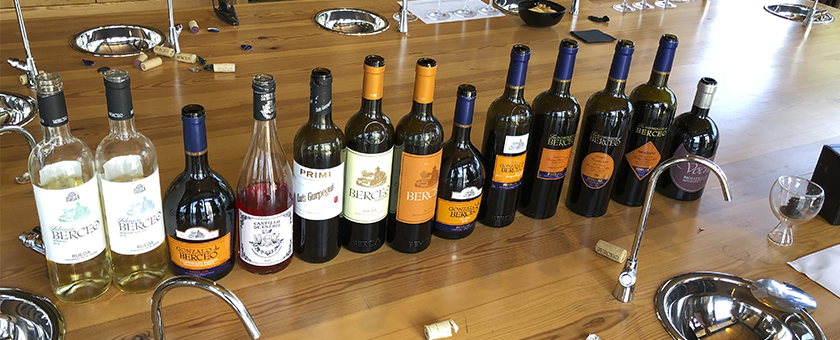 Визит на винодельни компании MANZANOS