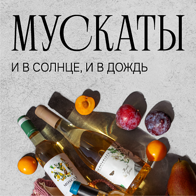 МУСКАТЫ И В СОЛНЦЕ, И В ДОЖДЬ
